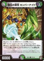 樹瓜の菜将 カンバーナイト