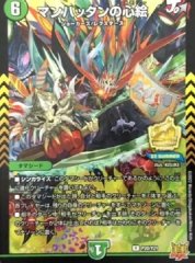 スリーブ『ドラゴン娘 スペシャルパックver.』/【サプライ・未開封