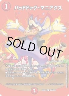 アートカード5枚セット)五人祭でドラゴン☆サマー/【サプライ・未開封
