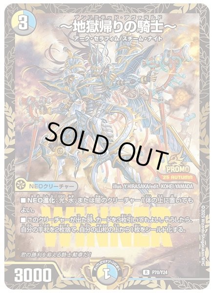 画像1: ［状態B］〜地獄帰りの騎士〜/【レインボー】《P70/Y24》 (1)