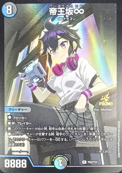 画像1: ［状態B］帝王坂∞/【レインボー】《P60/Y24》 (1)