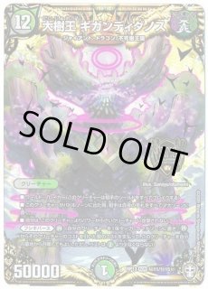 禁呪と聖句の決断/【レインボー】《23RP3 12B/22》 ぱーふぇくとお