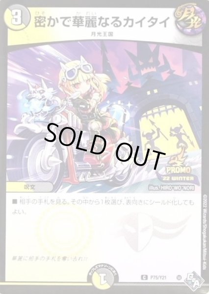 画像1: 密かで華麗なるカイタイ/【レインボー】《P75/Y21》 (1)