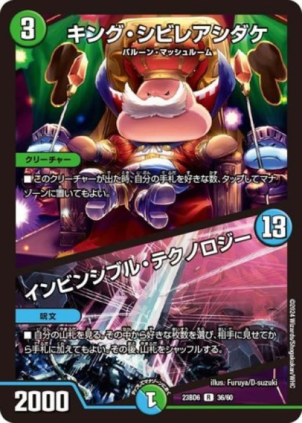 画像1: キングシビレアシダケ/インビンシブルテクノロジー/【レインボー】《23BD6 36/60》 (1)
