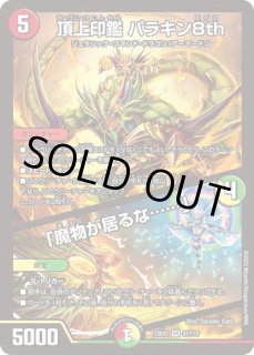 強襲竜ボルシャックレイダー/レイドエントリー/【火文明】《DM25RP3