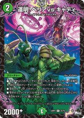 運明!ベリアvs.キャディ