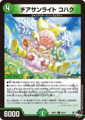 チアサンライト コハク