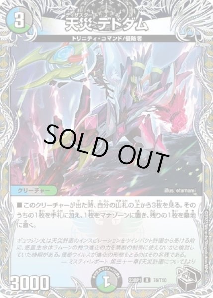 画像1: 天災デドダム/【レインボー】《23RP1 T6/T10》 (1)