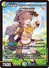 洗打の妖精/【水文明】《DM25RP1 34/77》 スクラブフェアリー 販売