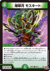 爆翠月 モスキート