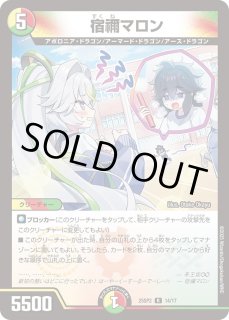 ドラゴン娘 はじけろスポーツ！青春⭐︎ワールドカップ！デッキ カートン キャラプレミアムデッキ ドラゴン娘になりたくないっ！ はじけろ