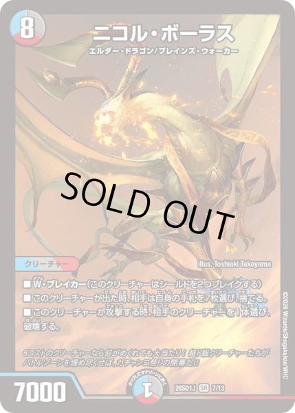 画像1: ニコルボーラス/【レインボー】《26SD1J 7/13》 (1)