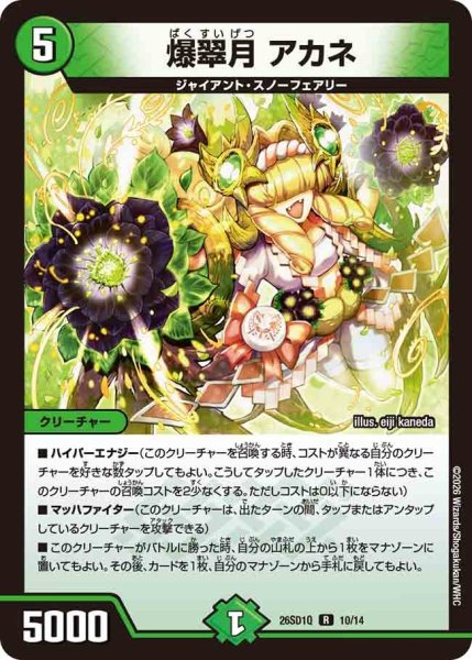 画像1: 爆翠月アカネ/【自然文明】《26SD1Q 10/14》 (1)