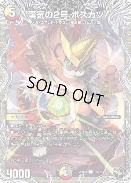 画像1: 男気の2号ボスカツ/【レインボー】《DM25RP4 T6/T11》 (1)