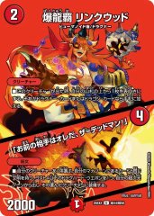爆龍覇 リンクウッド/「お前の相手はオレだ、ザ=デッドマン!」