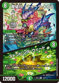 ドラゴン娘になりたくないっ Jack-Pot-Live デッキ5個コンプセット デュエル・マスターズTCG キャラプレミアムデッキ ドラゴン娘に