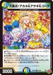 大集合!アカネ&アサギ&コハク
