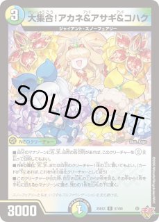 滝川るる＆ラフルル-閃光のヒロイン-/【光文明】《DM25EX1 SPR秘1/SPR