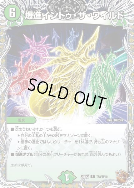 画像1: 爆進イントゥザワイルド/【自然文明】《DM25EX3 TF8/TF40》 (1)