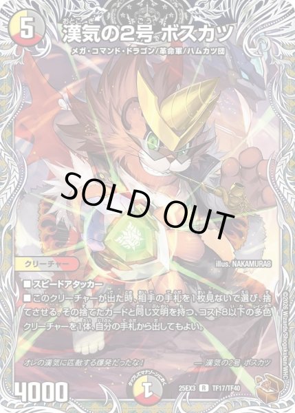 画像1: 漢気の2号ボスカツ/【レインボー】《DM25EX3 TF17/TF40》 (1)