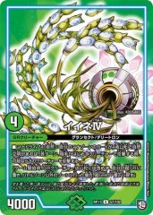イイネIV