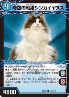 状態B］魔光神官ルドルフアルカディア/【レインボー】《DM25RP2 SP3